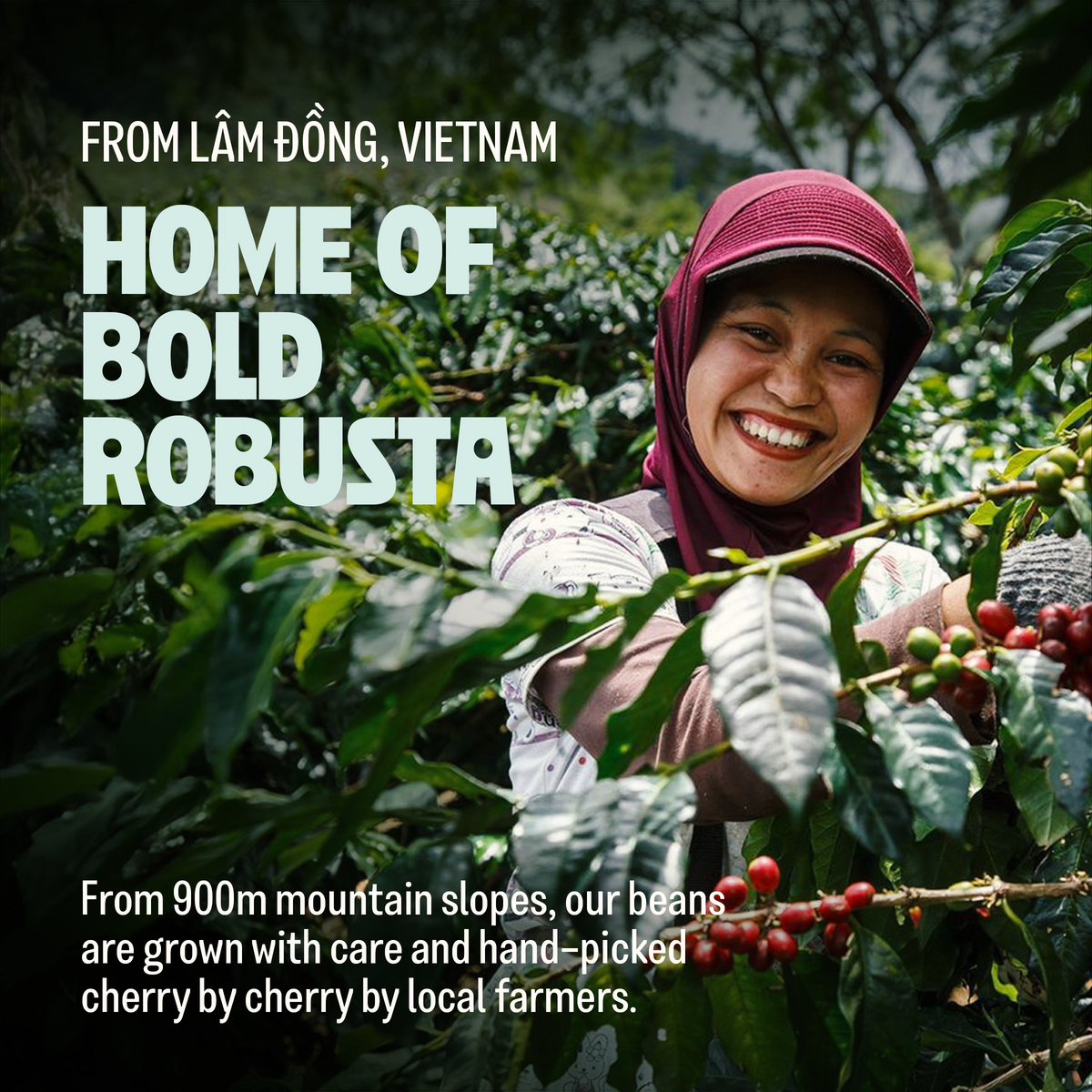 Overnight, Premium Strong Vietnamese Blend, Ground