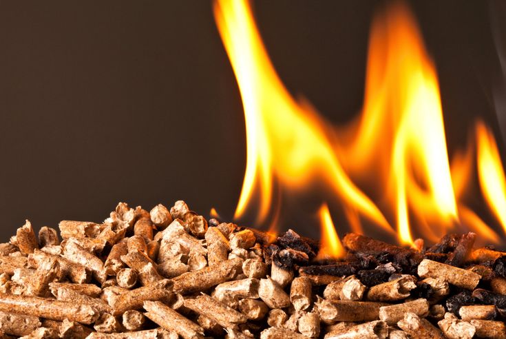 How to Burn Coffee Grounds Like Incense: A Complete Guide