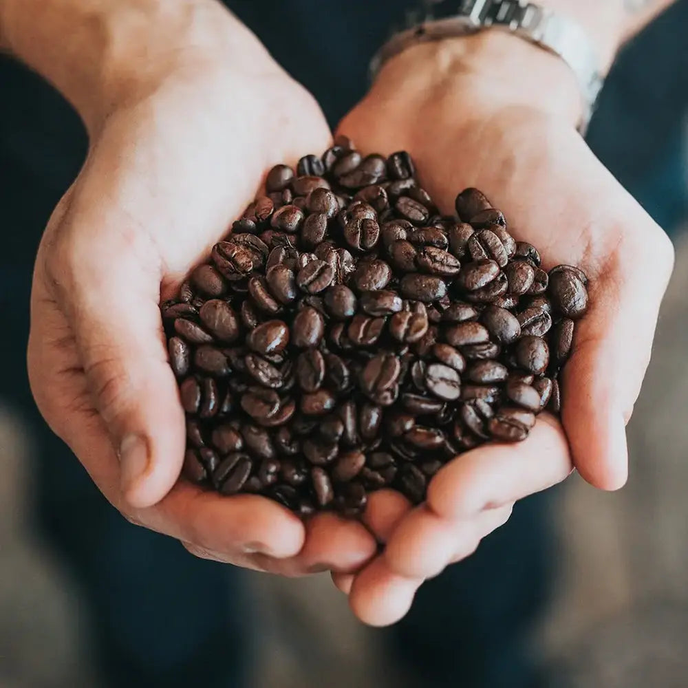 Can You Eat Coffee Beans? The Delicious Truth About Munching on Your Brew