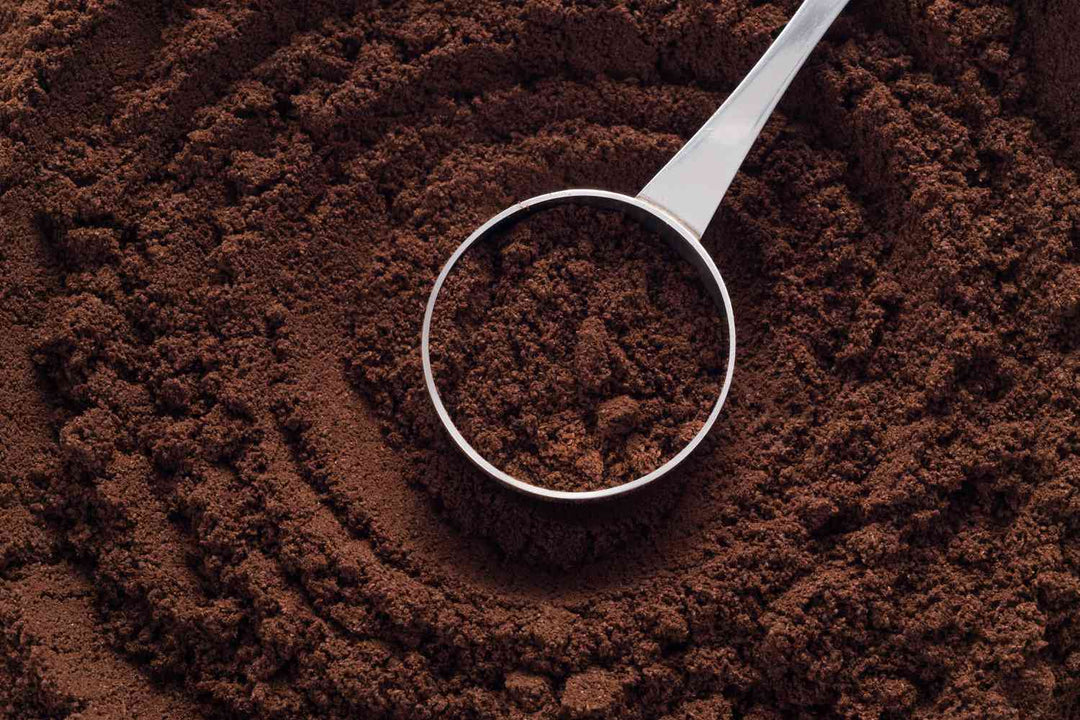 Coffee Grounds: Everything You Need to Know