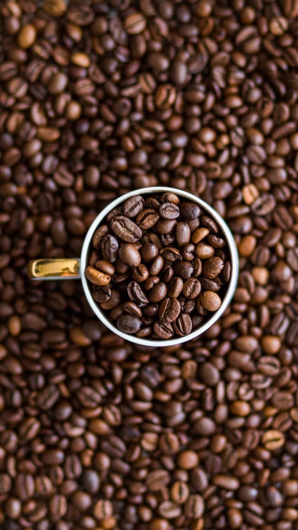 The Complete Guide to Decaf Coffee Beans: Everything You Need to Know