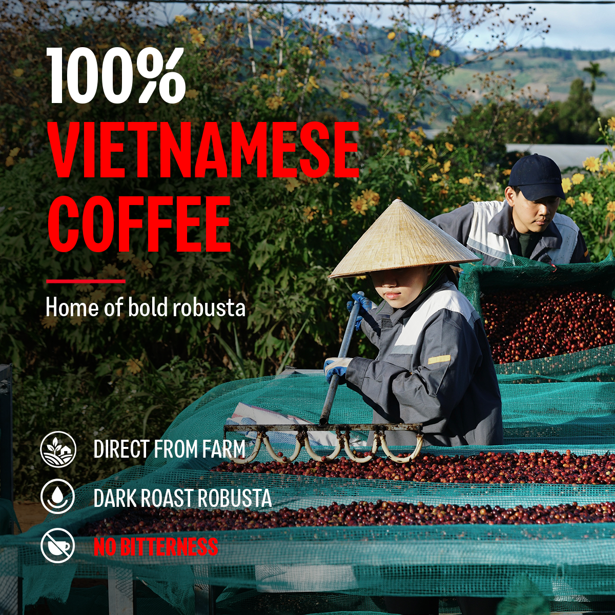 STRONG COLD BREW, Premium Vietnamese Robusta, Pitcher Pack