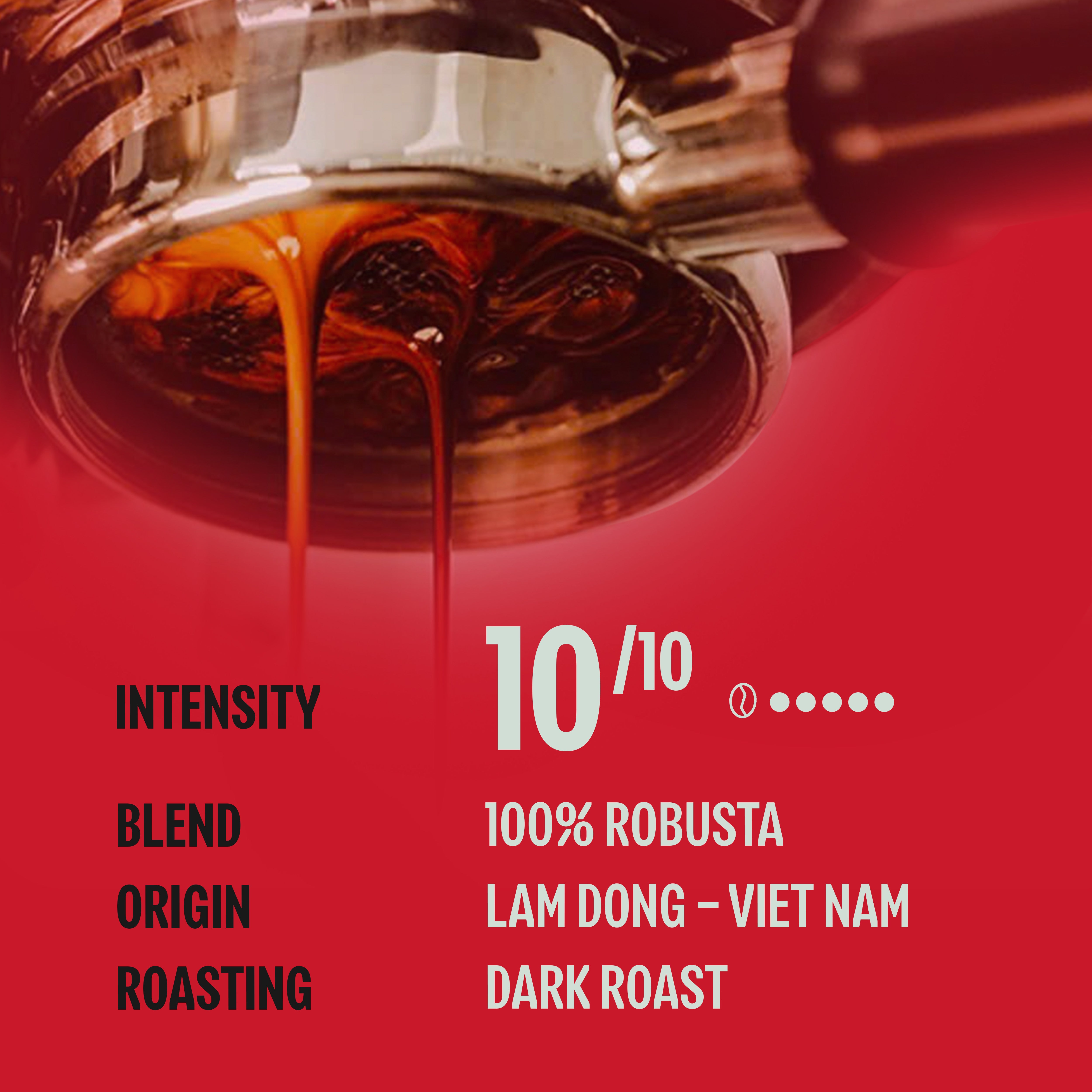 Too Strong, Premium Vietnamese Robusta, Whole Bean