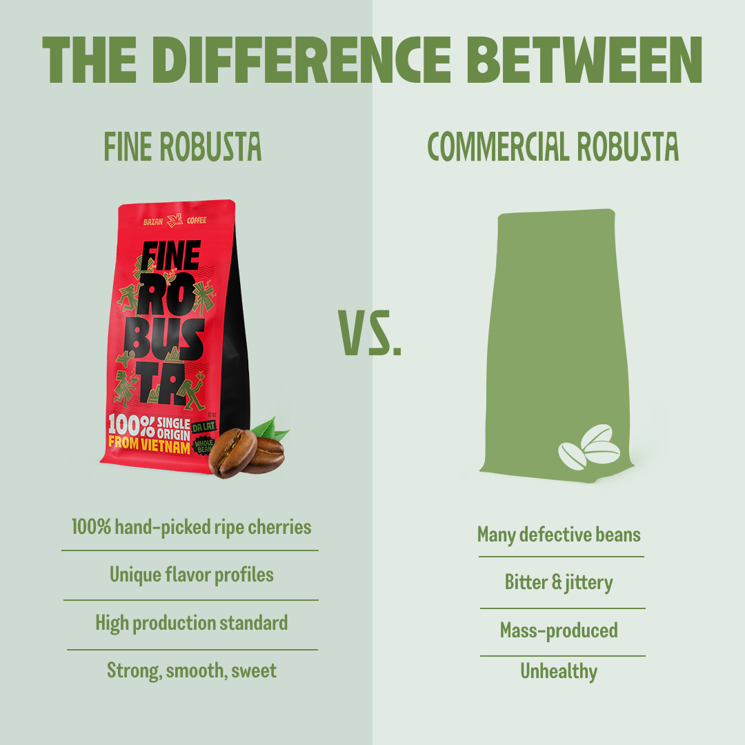 Experience Fine Robusta from Vietnam – Whole Beans with Exotic Durian, Honey & Caramel Flavors