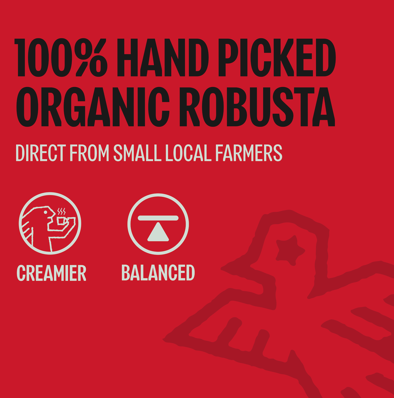 Too Strong, Premium Vietnamese Robusta, Whole Bean