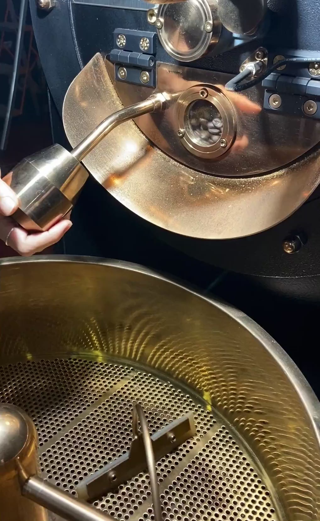 Too Strong, Premium Vietnamese Robusta, Whole Bean